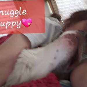 Meet your Posher, Christy